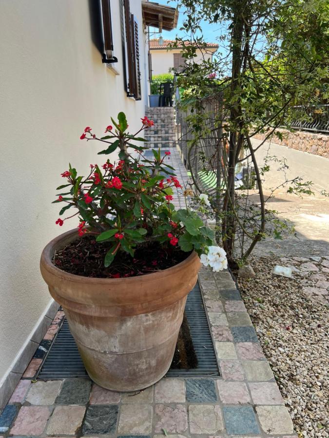 L'Essenziale Apartamento Pula Exterior foto